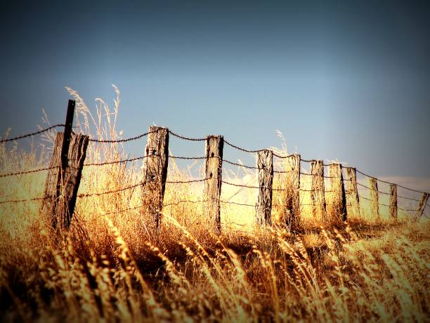 istock Australian Farms IMages 862155924