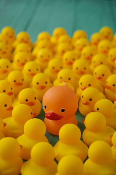 istock One strange orange alien rubber duck surrounded and being stared at by many little yellow rubber ducks, on a wooden table background. 862157906