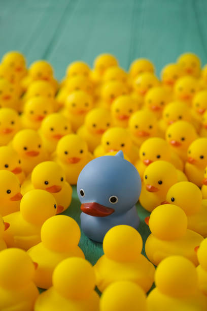 istock One strange blue alien rubber duck surrounded and being stared at by many little yellow rubber ducks, on a wooden table background. 862157912