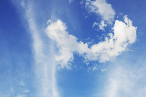 istock clouds of animals at sky. 862157994
