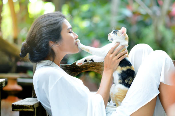 istock Young woman is resting with a cat 862164868
