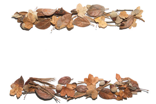 istock Frame made of autumn leaves 862171882