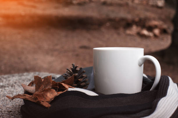 istock Cup of coffee and autumn leaves 862171914