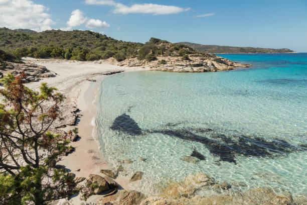 istock Deserted sandy beach and translucent sea in Corsica 862172040
