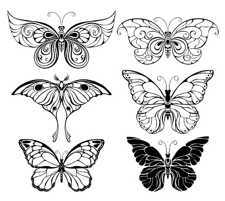 Set of art butterflies
