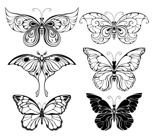 Set of art butterflies Set of artistically drawn, outline, black butterflies on a white background. Butterflies. Element of design. butterfly wing patterns stock illustrations