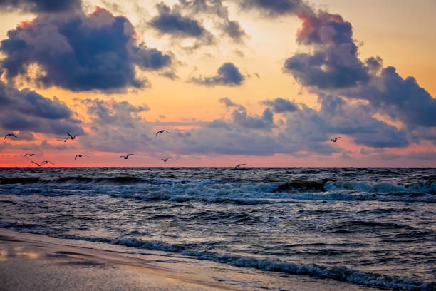 istock Seagulls flying over the sea beach at sunset 862172858