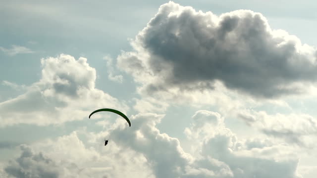 paraglider on the background of wildlife