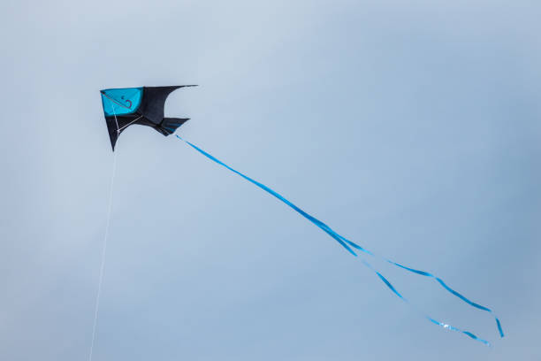 istock Black and blue kite flying high in the sky 862175334