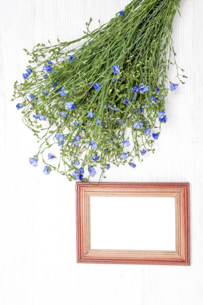 istock Bouquet of field flowers 862180068