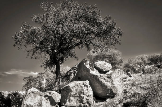 a black and white view of eroded rocks in Corsica