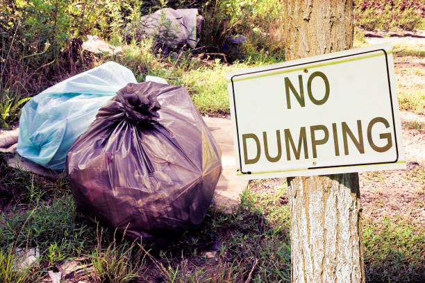 ilegal de dumping na natureza com sinal "dumping n", indicando no campo - imagem de conceito - travel locations europe china beijing - fotografias e filmes do acervo