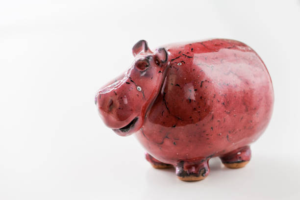 istock Ceramic hippopotamus toy isolated on white background - image with copy space 862189478