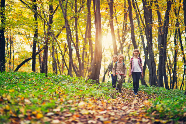 istock Kids with backpacks walking in autumn forest 862193090