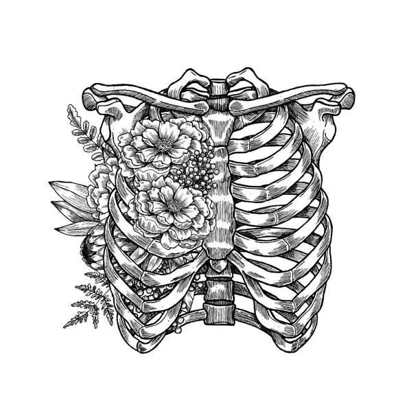 Vector illustration of Tattoo anatomy vintage floral illustration. Floral chest skeleton. Vector illustration