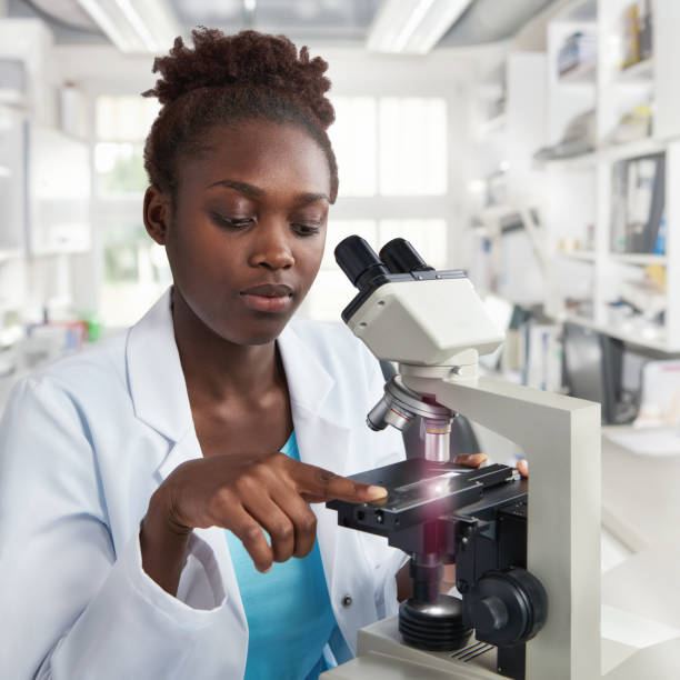 africano-americano mujer científico, estudiante o técnico trabaja con un microscopio - laboratory healthcare and medicine cancer drug histology fotografías e imágenes de stock