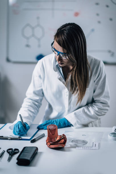 Evidence Examination Animation 60+ Crime Scene Forensic Science Shoe Track Stock Photos, Pictures ...