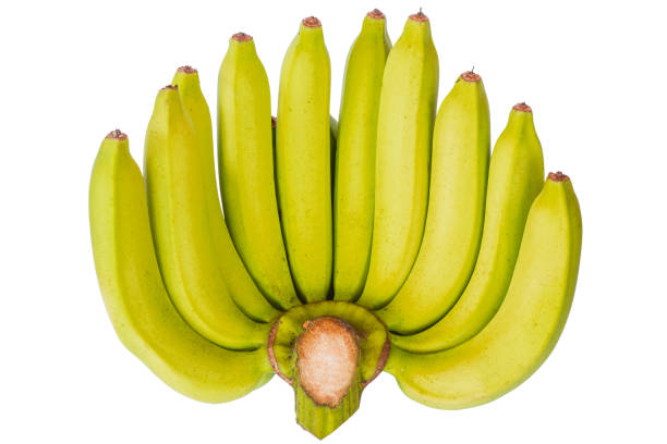 istock bunch of green bananas on white background. 862208482
