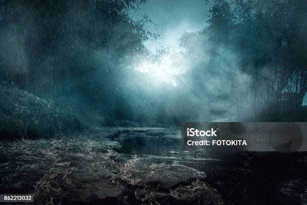 Creepy River Stock Photo - Download Image Now - Backgrounds, Forest, Spooky