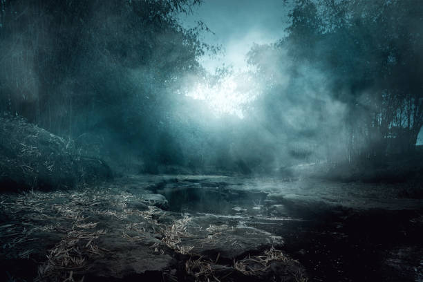 creepy river - spooky imagens e fotografias de stock