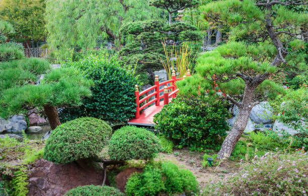 istock Japanese garden in Monte Carlo 862222166