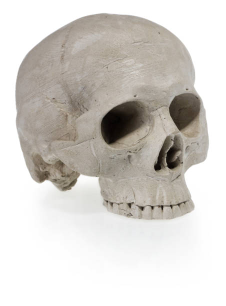 istock Halloween human skull. Scary skeleton head. 862222876