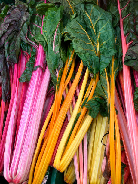 istock Chard - a leafy green vegetable with colorful stems 862229400