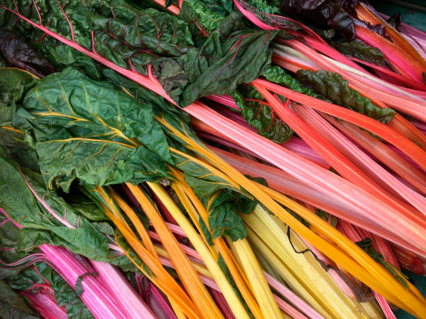 istock Chard - a leafy green vegetable with colorful stems 862229424