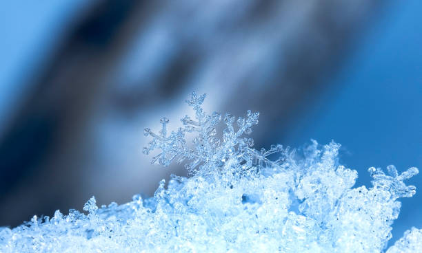 istock natural snowflakes on snow 862230486