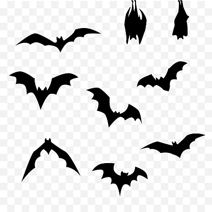 isolated black silhouette halloween bat set