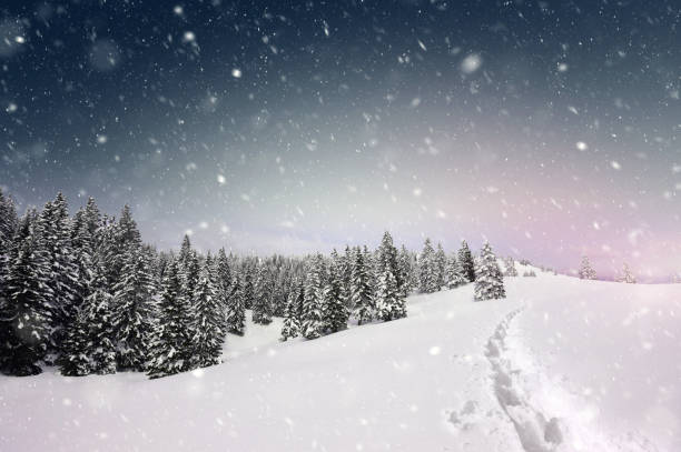 istock Winter trail in morning snow 862234004