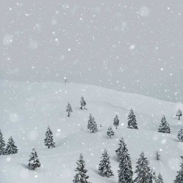 istock Blizzard In Forest in the morning 862234524