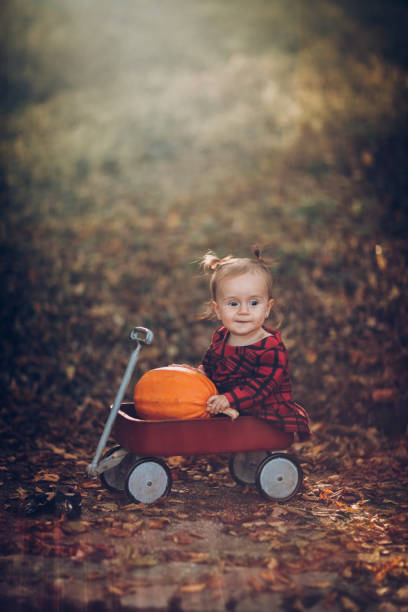 istock Happy little child playing in autumn 862251982