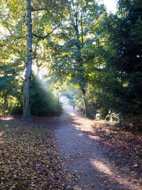 istock A footpath in a public park illuminated by a sunbeam through autumn leaf trees 862264048