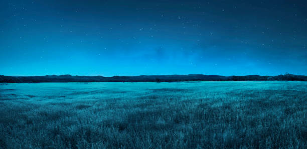 auenlandschaft an der nachtzeit - grasland stock-fotos und bilder