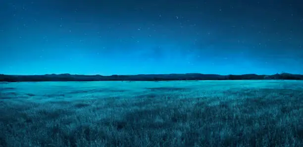 Photo of Meadow landscape at night time