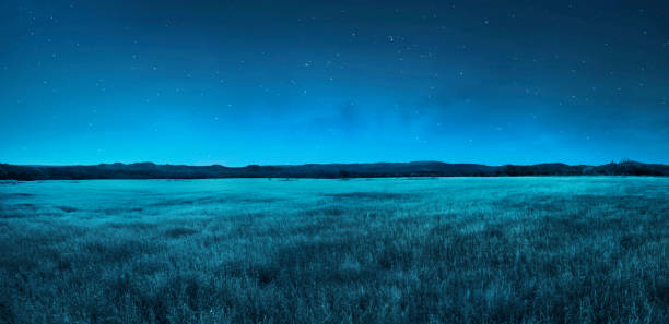 meadow landscape at night time - national grassland imagens e fotografias de stock