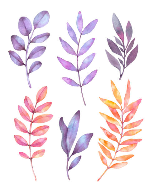 istock Hand drawn watercolor illustrations. Botanical clipart. Set of purple leaves, herbs and branches. Floral Design elements. Perfect for wedding invitations, greeting cards, blogs, posters and more 862271238