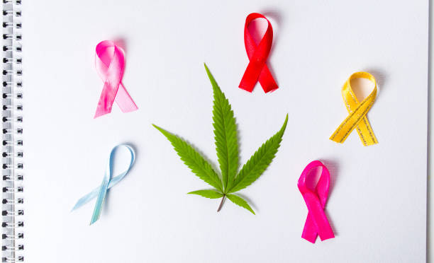 marijuana leafs with cancer awareness symbols - photography sign table ganja imagens e fotografias de stock