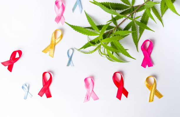 marijuana leafs with cancer awareness symbols - photography sign table ganja imagens e fotografias de stock