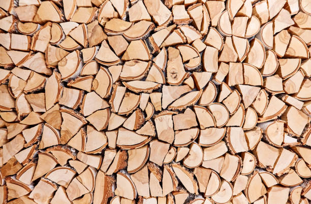 istock Wooden background of shattered tree trunks 862282940