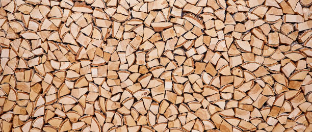 istock Wooden background of shattered tree trunks 862282946