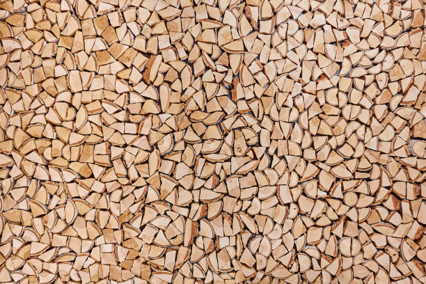 istock Wooden background of shattered tree trunks 862282948