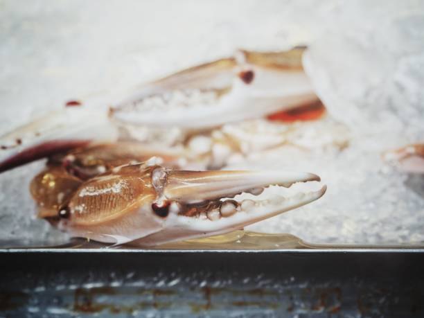 Crab claws