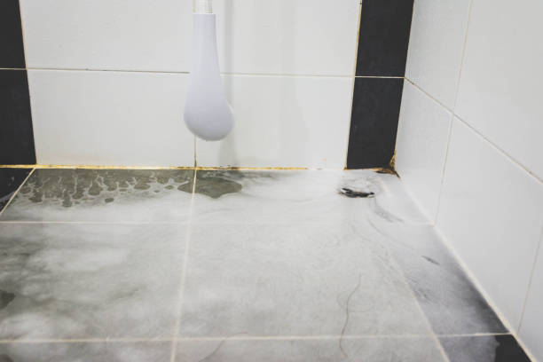 istock Hair clump in bath drain while taking a shower. 862302026