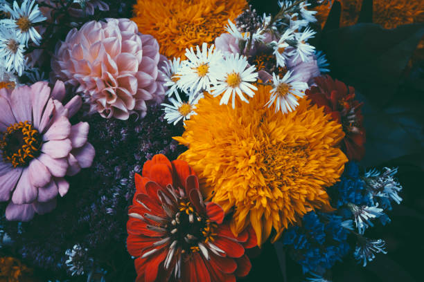 Magic flowers with dark leaves background.