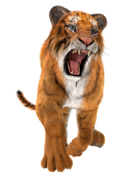 大きなレンダリング 3 d 猫白虎 - tiger roaring danger power ストックフォトと画像