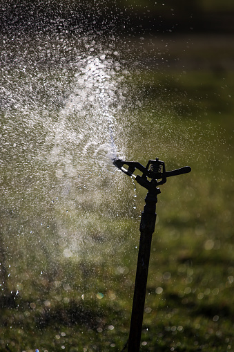 Water sprays out of a water sprinkler to irrigate the land