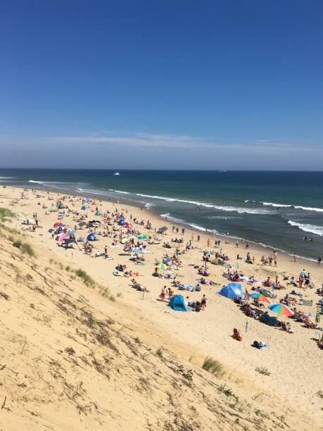 위에서 본 해변 - cape cod national seashore 뉴스 사진 이미지