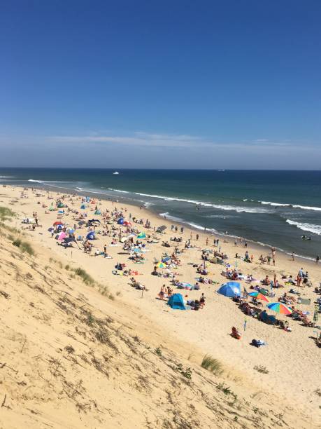 plaża widziana z góry - cape cod national seashore zdjęcia i obrazy z banku zdjęć